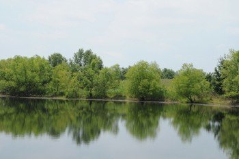 Property photo 19 - 1,025 Acres in 24 Tracts - Exellent Recreation Opportunity - Potential Building Sites - 11 Lakes & Ponds